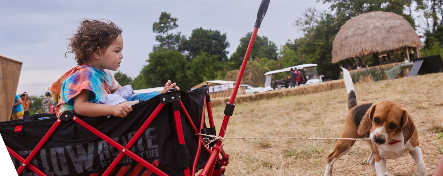 Wonderpost Cover Image